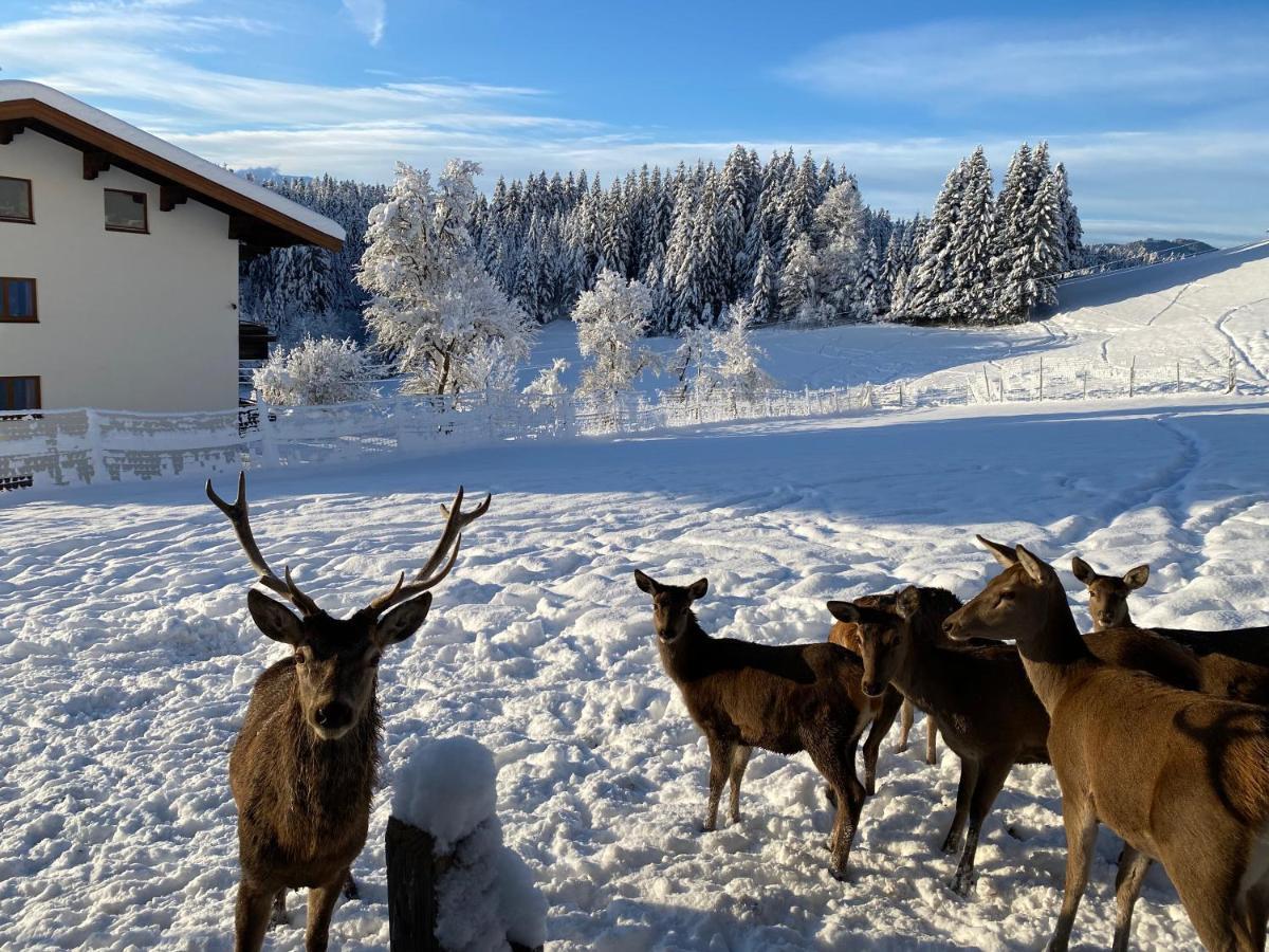 Hotel Berghof Haselsberger Sankt Johann in Tirol Exterior foto