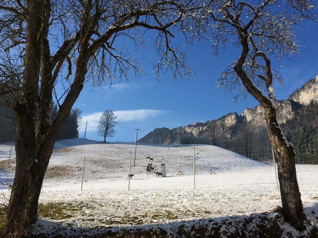 Hotel Berghof Haselsberger Sankt Johann in Tirol Exterior foto