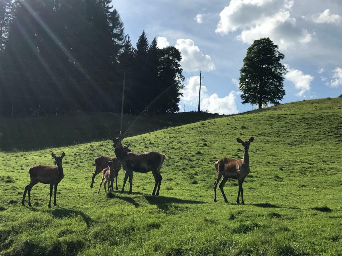 Hotel Berghof Haselsberger Sankt Johann in Tirol Exterior foto